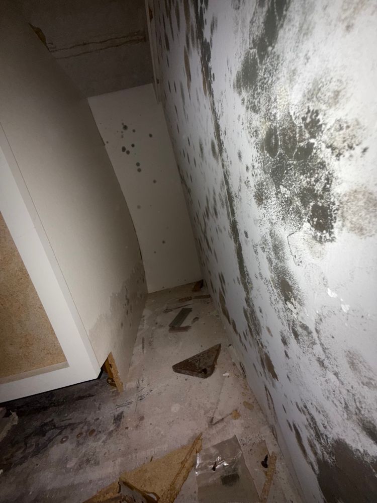 All Photos for N&D Restoration Services When Disaster Attacks, We Come In in Cape Coral,  FL