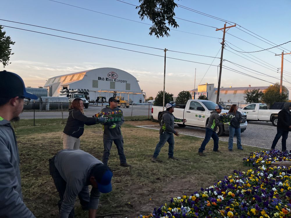 Seasonal Color for Urban Lawn & Landscape in Oklahoma City, OK