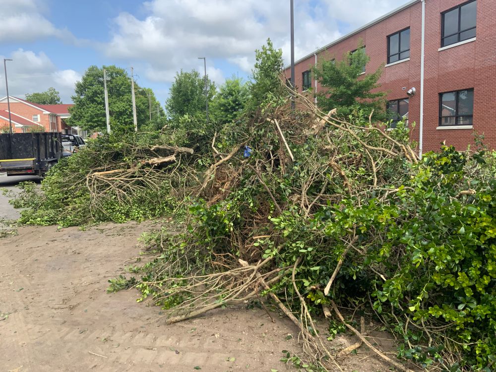 Tree Removal for Broadway & McMullen Construction in Hattiesburg, MS