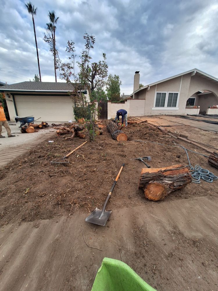 All Photos for Best Lawncare in Colton, CA