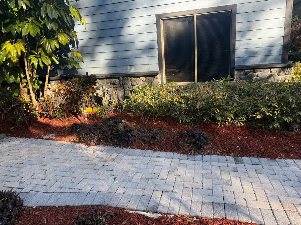 All Photos for Amerigrown Tree And Lawn in Apopka, FL