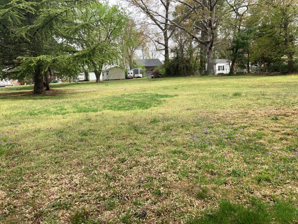 All Photos for Green Horizon Lawncare in North Chesterfield, VA