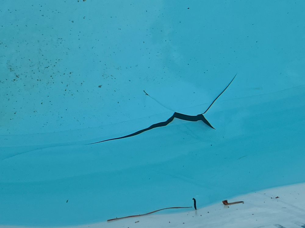 All Photos for Pool Services of Wilmington in Wilmington, NC