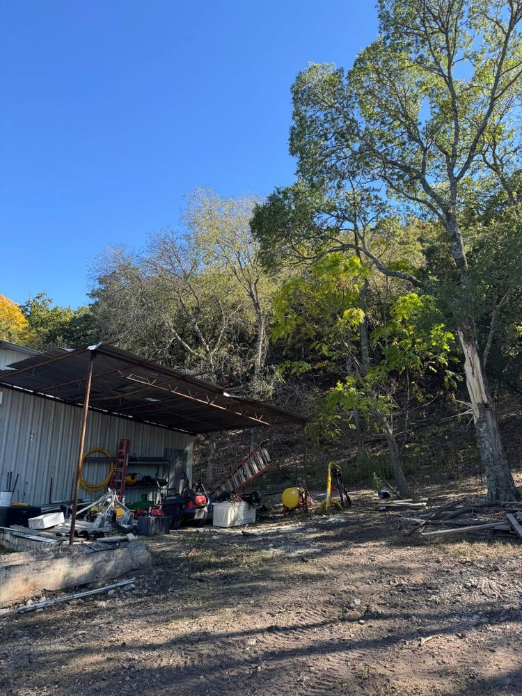 All Photos for Z’s Trees LLC in Grey Forest, TX