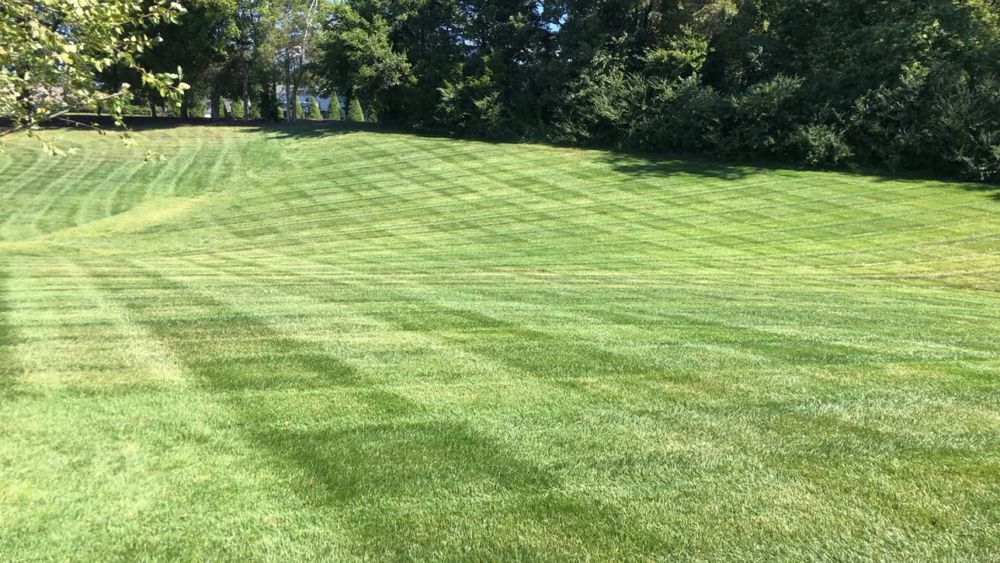 Lawn Care for Precision Lawn and Outdoor Services in Bowling Green, Kentucky