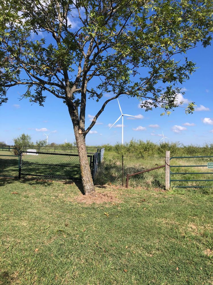 Landscaping for Piña’s Lawncare in Limestone County, TX