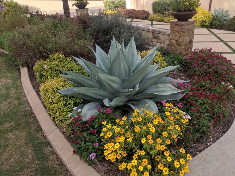 All Photos for Mira Vista Landscaping in Everman, TX