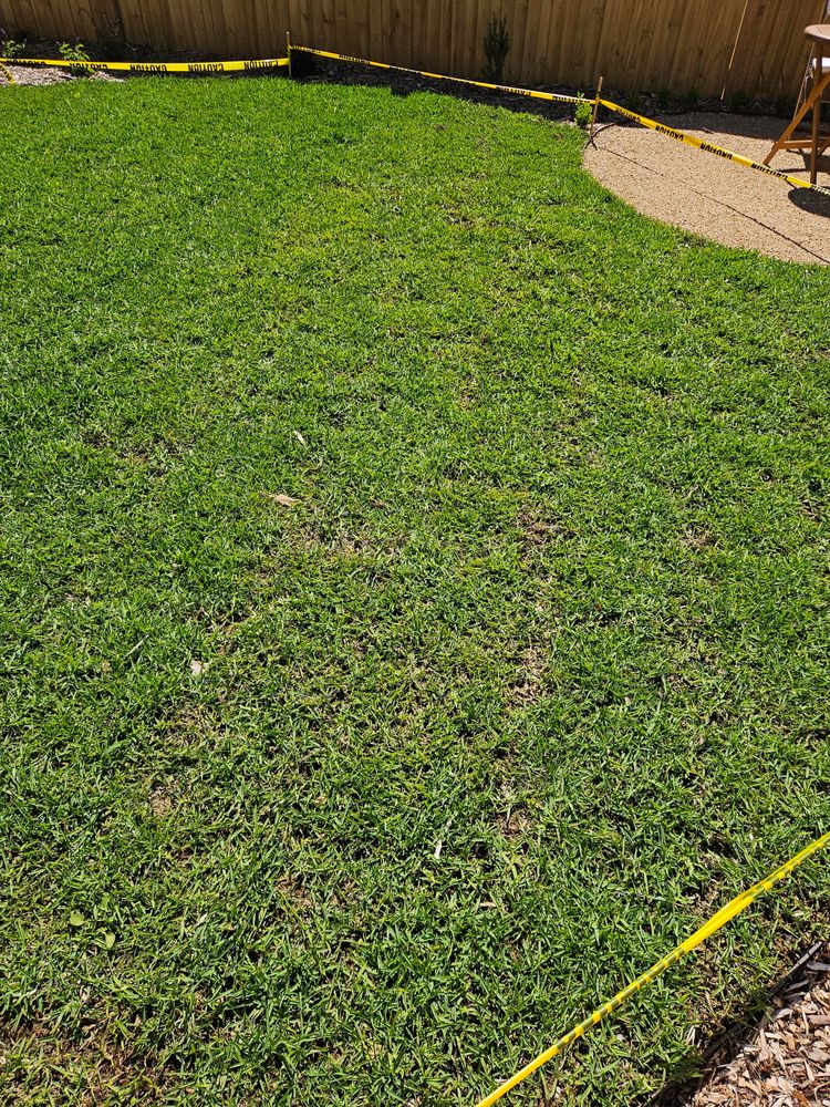 All Photos for Nick of Time Tree Service in North Port, FL