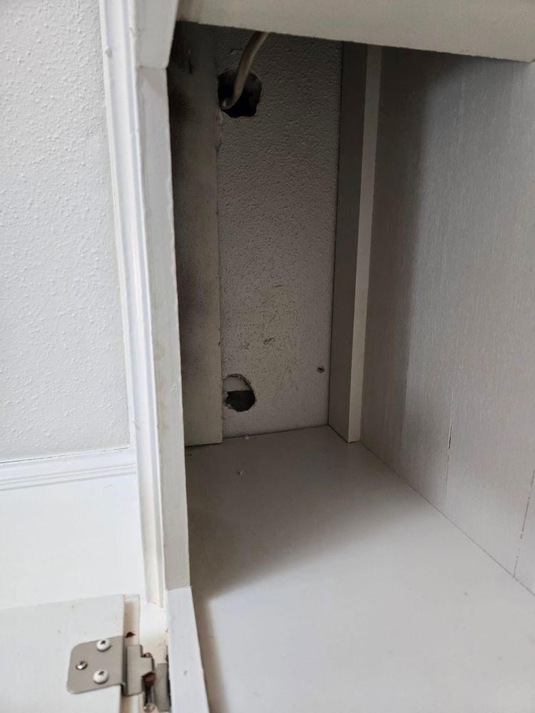 Our Fungus Control service ensures a healthy home environment by professionally eliminating harmful fungi that can damage structures and affect indoor air quality, using safe and effective treatment solutions tailored to your needs. for Bug Blasterz LLC in Huntsville, AL