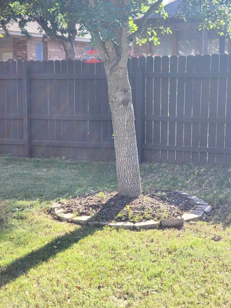 All Photos for Fresh Yards Landscaping in Austin, Texas