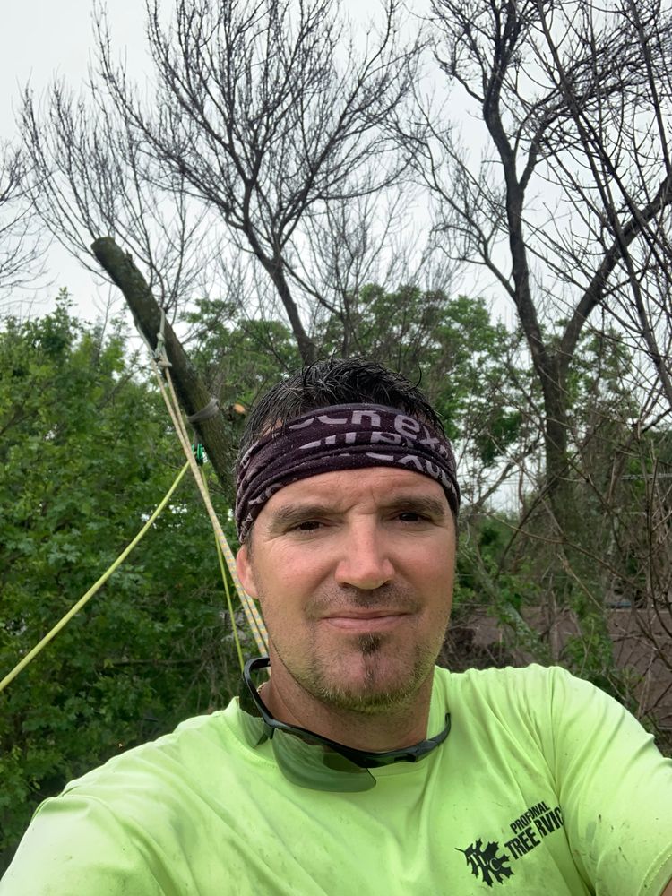 All Photos for TLC Professional Tree Service in Bedford, TX