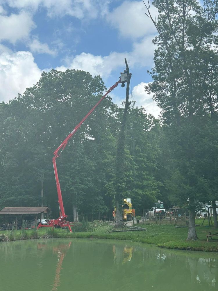 All Photos for SMITHs Tree Service in Columbus, IN