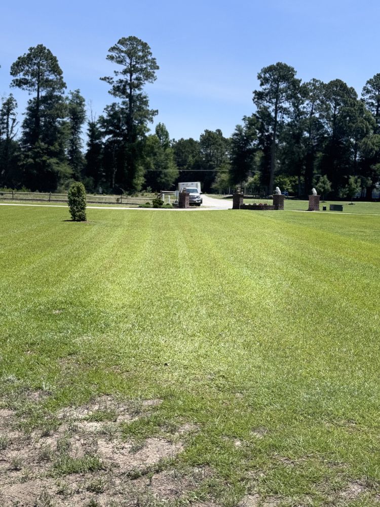All Photos for Trinity Landscapes  in Lumberton, NC