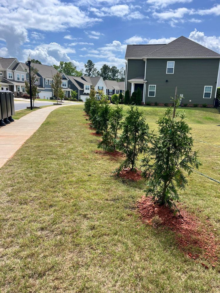 All Photos for Piedmont Lawn and Landscaping in Lexington, NC