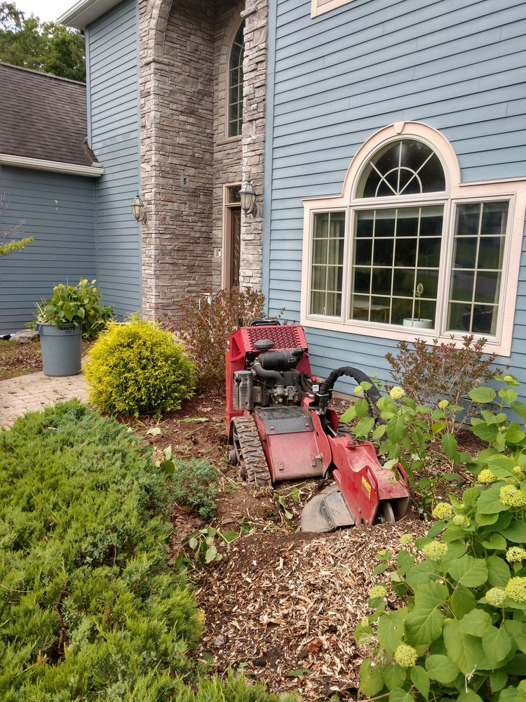 Stump Removal for TH Property Service, LLC in Manlius, NY