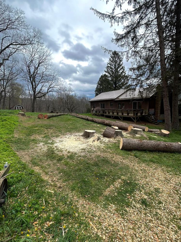 All Photos for NRV Tree Pro, LLC in Narrows, VA