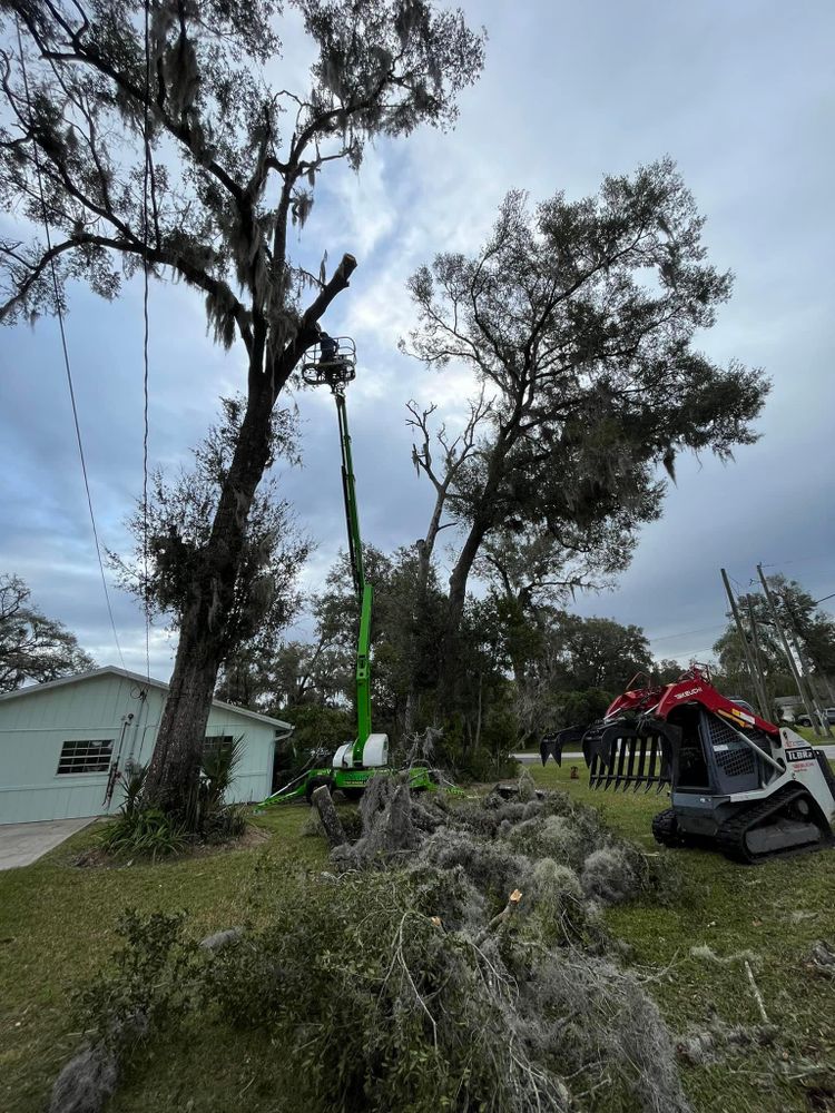 All Photos for McGraw’s Lawn and Tree Service in DeLand, FL