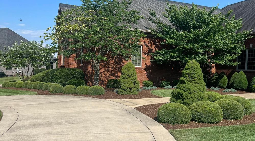 All Photos for Full Service Landscaping in Louisville, KY