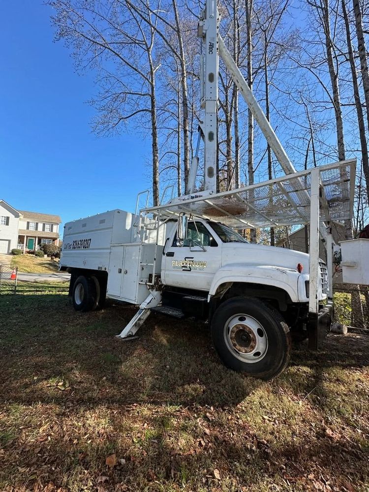 Tree Service for Platinum Outdoor Services LLC in Conover, NC