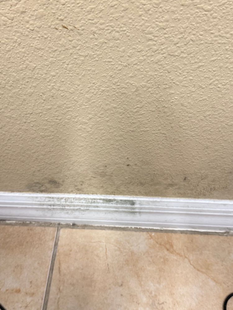 All Photos for Spirit Enterprise Construction in Tampa Bay, FL