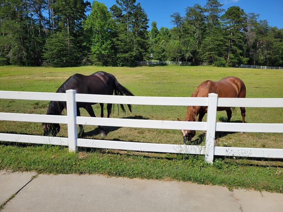 All Photos for GVL Renovations in Greenville, SC