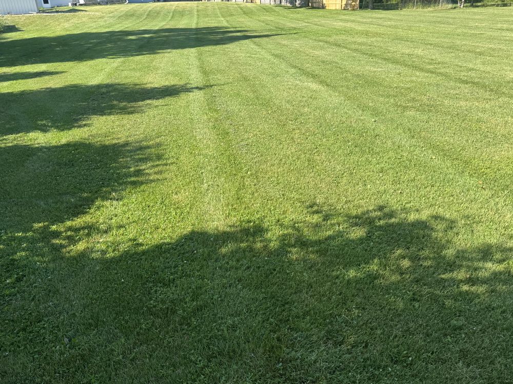 Landscaping Lawn Care for Daugherty's Tough Lawn Care in Essexville, MI