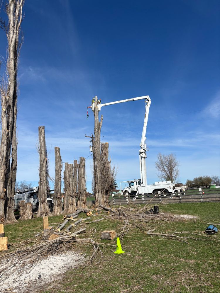 Our Tree Removal service ensures safe, efficient removal of unwanted or hazardous trees from your property. We prioritize precision and care to maintain the surrounding landscape's integrity while enhancing safety and aesthetics. for Ascension Tree Care LLC in Yakima County, WA