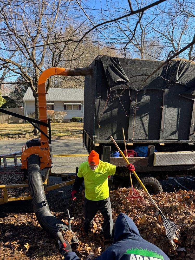 All Photos for Adams Landscaping in Springfield, MA