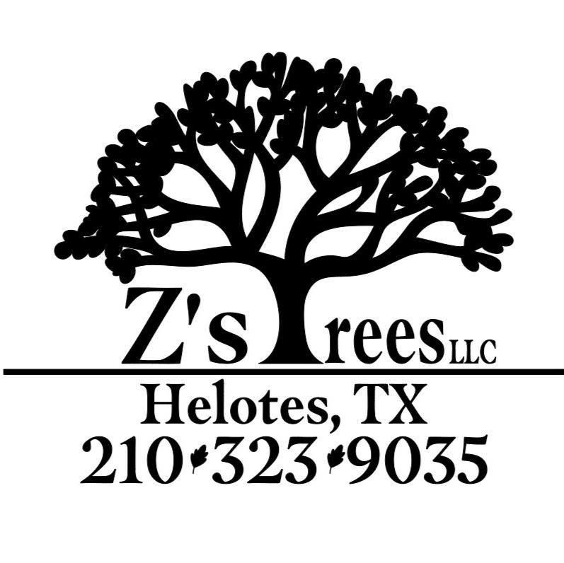 All Photos for Z’s Trees LLC in Grey Forest, TX