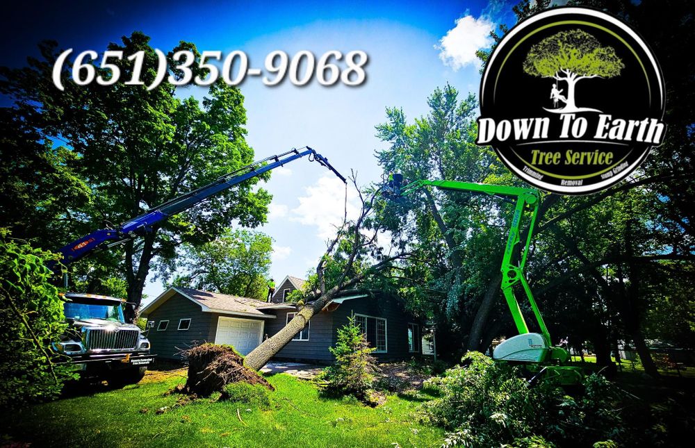 All Photos for Down To Earth Tree Service in Red Wing, MN