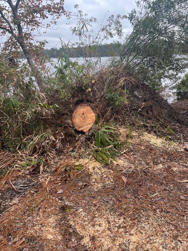 All Photos for Otis Lee Stump Grinding LLC in Elgin, SC