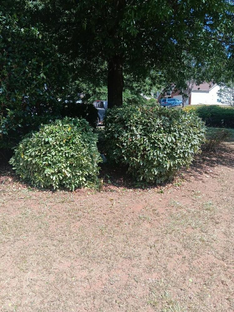 Landscaping for Worsham Landscaping and Pressure Washing LLC in Social Circle, GA