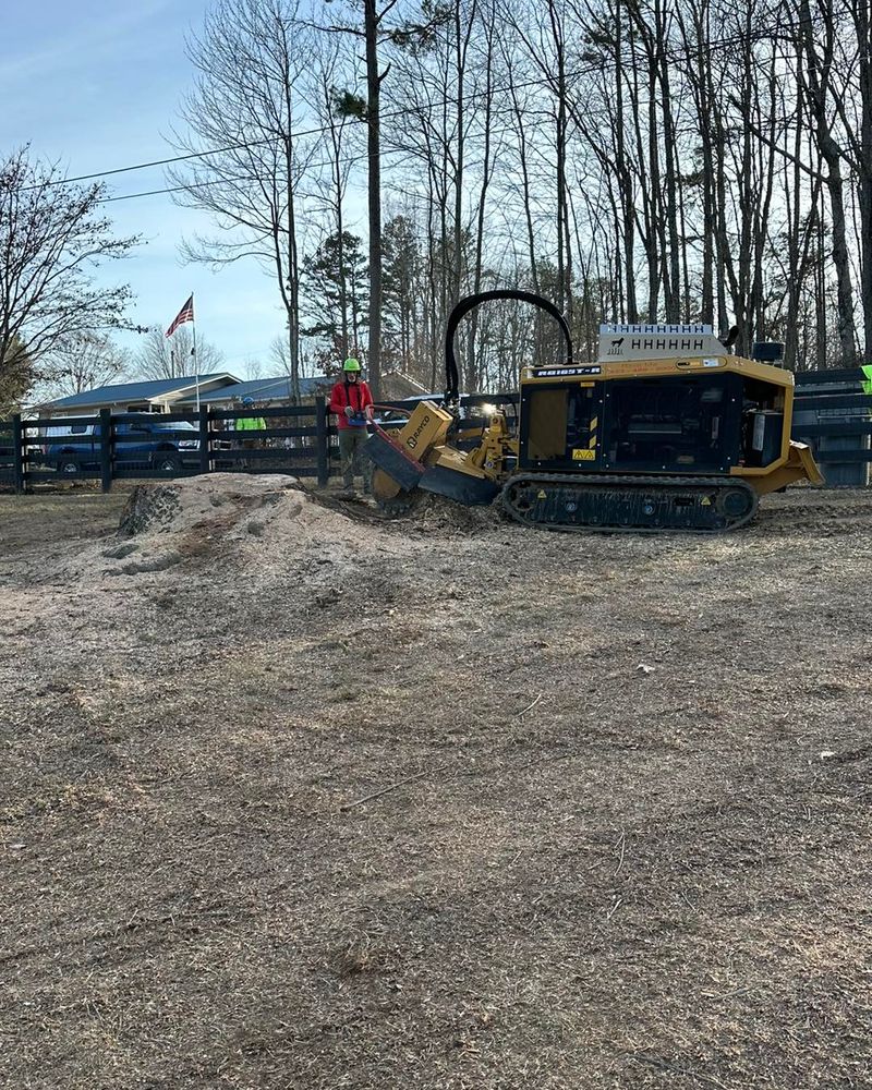 Tree Removal for Complete Care in Cumberland Gap, TN