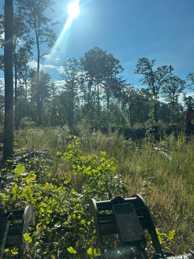 All Photos for TD Dirtworks in Tracy City, TN