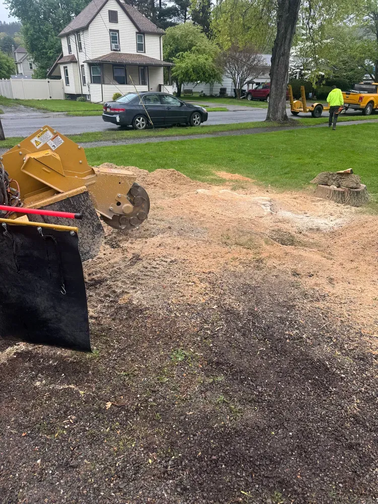 Stump grinding  for Licensed to Cut Tree Service in Athens, PA