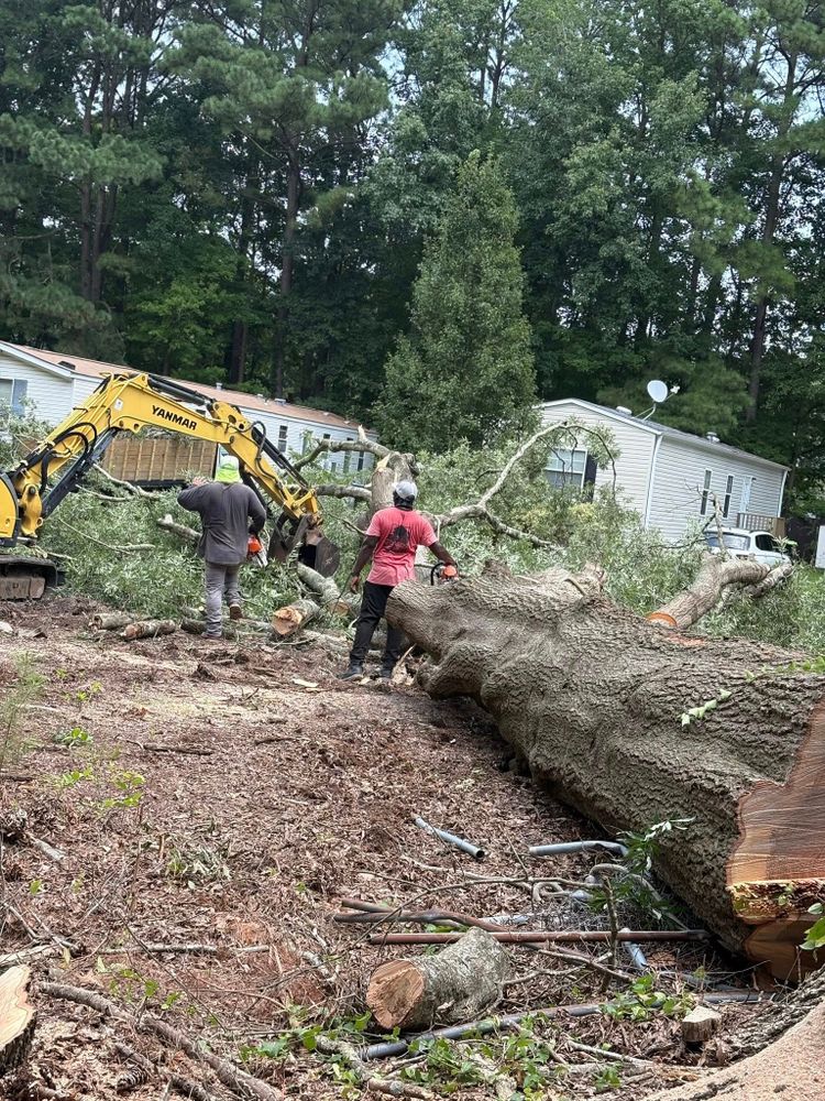 Tidewater Tree Service team in Chesapeake, VA - people or person