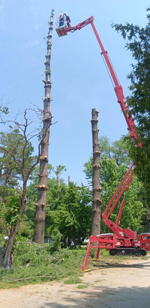 All Photos for Lawn Ranger Yard And Tree Service LLC in Ottumwa, IA