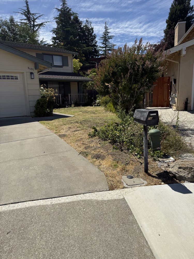 All Photos for CBA Landscaping in Hayward, CA