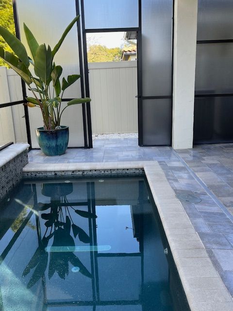 All Photos for Foreshore Pressure Cleaning Services Inc in Holiday, FL