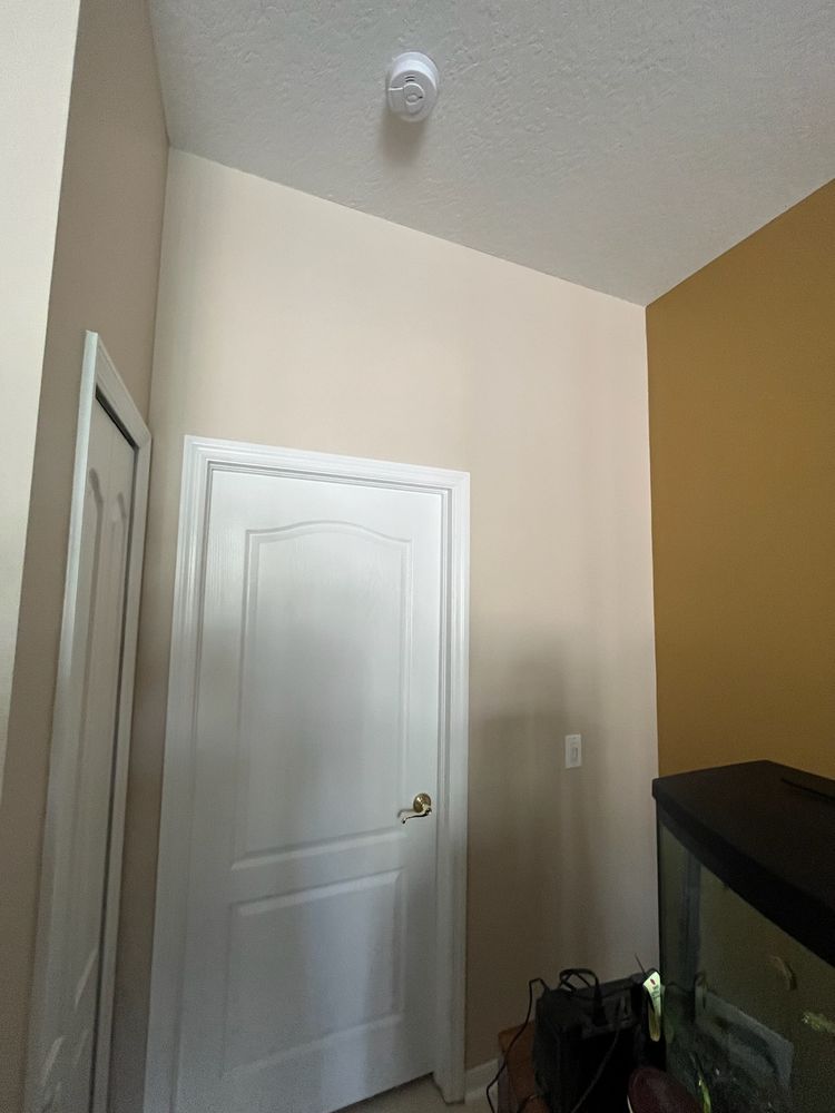 All Photos for Escorpio Painting in Tampa, FL