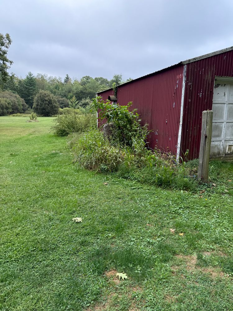 All Photos for Lucas Property Maintenance LLC in New Bedford, MA