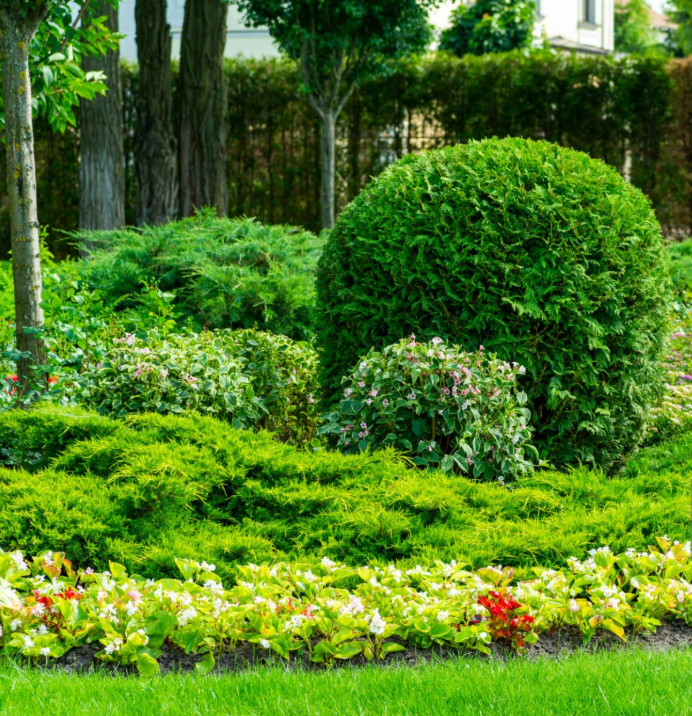 All Photos for C + C Landscaping in Chesterfield, VA