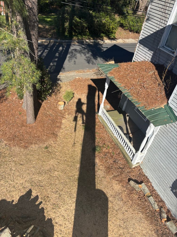 All Photos for Ascending Tree Service LLC in Kenbridge, VA