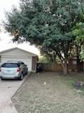 All Photos for Oviedo Land & Garden in Bastrop, TX