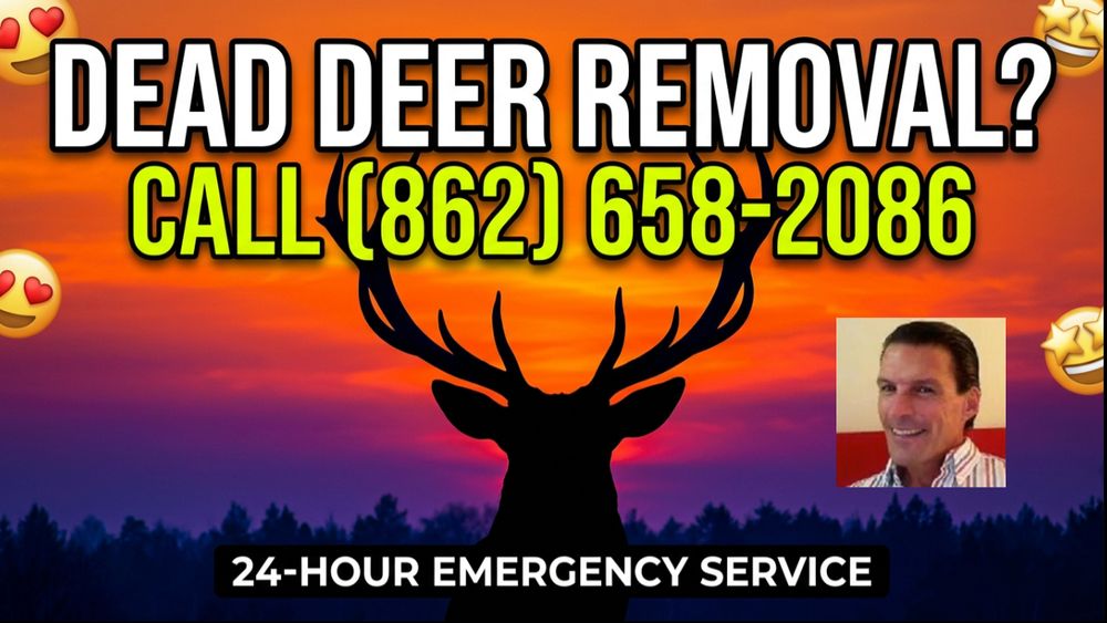 All Photos for All Starr Dead Animal and Deer Removal in Manchester Township, NJ