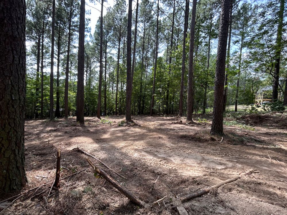 Our professional land clearing service efficiently removes trees, shrubs, and debris from your property to create a clean canvas for your landscaping project. Enhance the beauty of your outdoor space today! for KM Landworks in Moncure ,  NC