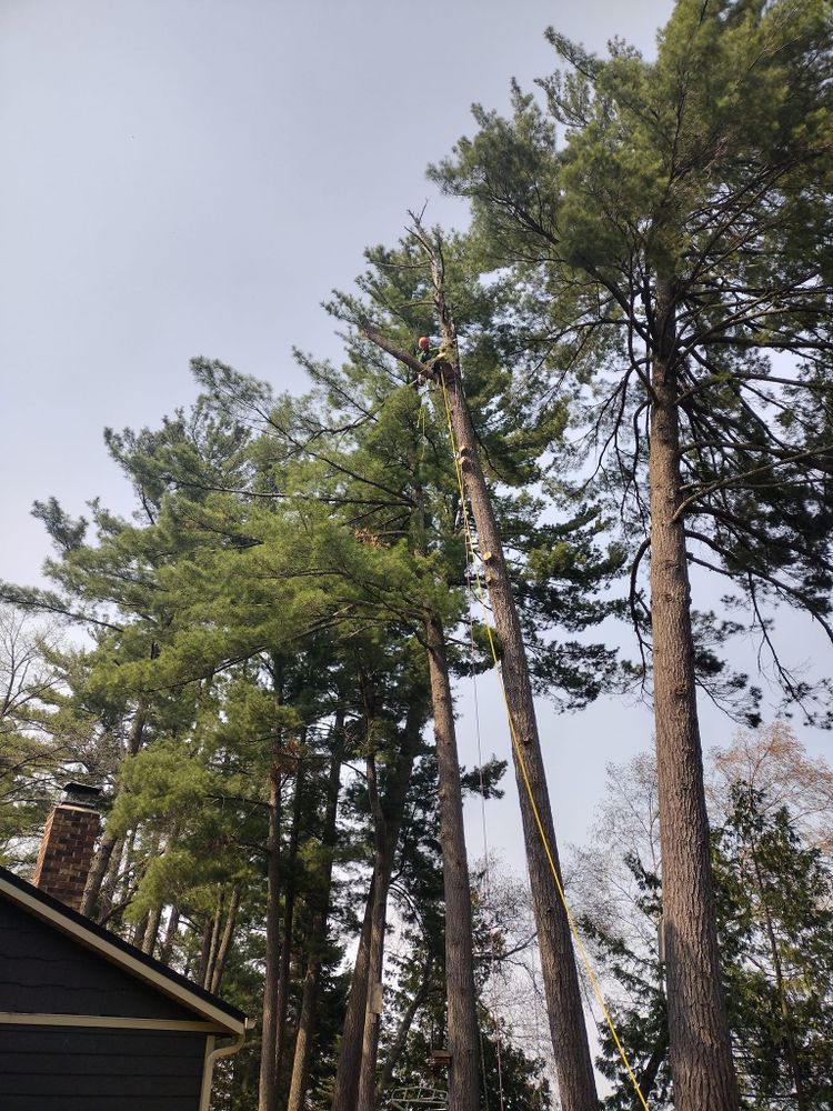 Our Storm Work services specialize in assessing and addressing storm damage to ensure the safety and aesthetics of your property. Contact us for immediate assistance with storm damage today. for Dan's tree service in Bemidji, MN