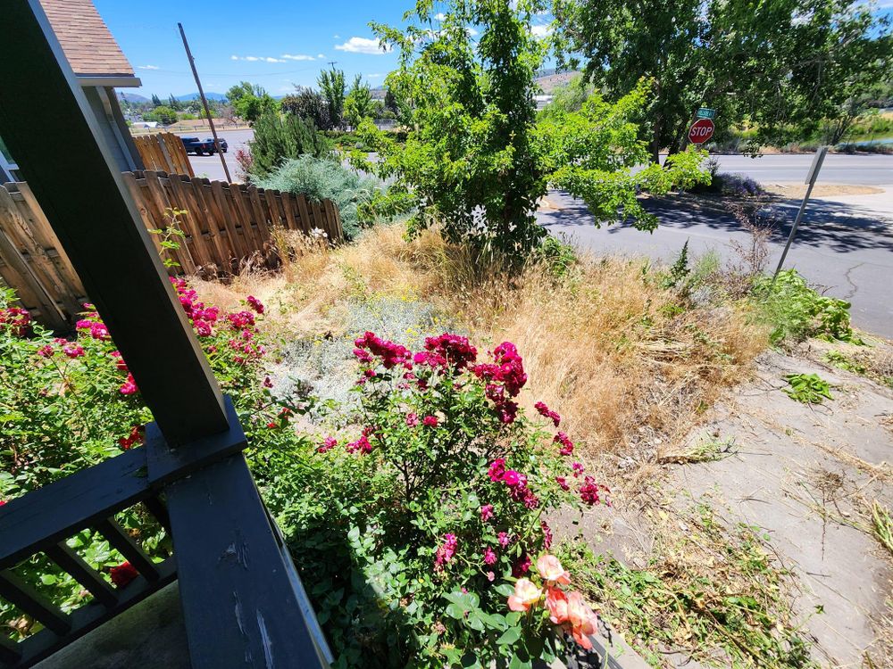 All Photos for Bernal's Lawn Care/Tree Service in Klamath Falls,  OR