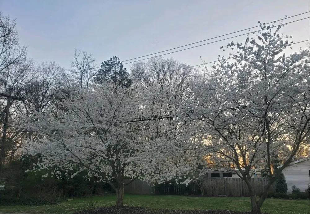 All Photos for R Merkli Inc. in Mount Vernon , VA