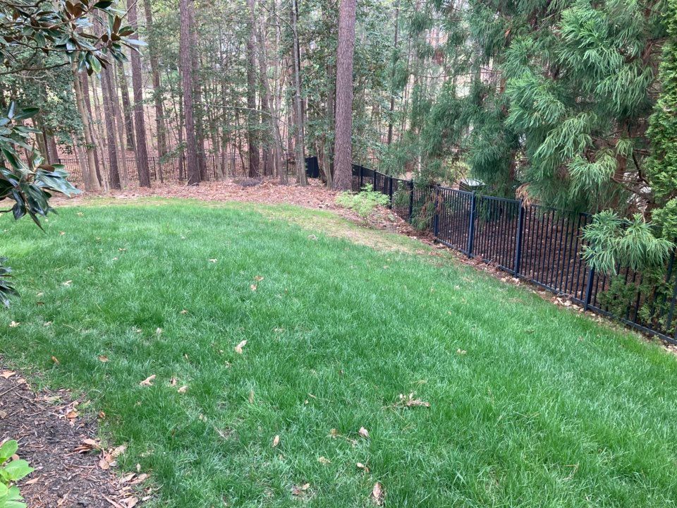 All Photos for Green Horizon Lawncare in North Chesterfield, VA